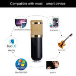 Bộ micro kim loại cao cấp BM-800 chuyên dùng cho hát K-Song mạng, Bộ BM800 Đen, Bộ BM800 Hồng, Bộ BM800 Xanh, Bộ BM800 Trắng