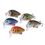 Bộ 5 mồi câu đá Luya HENGJIA 2.7cm/1.5g, hộp nhựa, Box008
