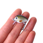 Bộ 5 mồi câu đá Luya HENGJIA 2.7cm/1.5g, hộp nhựa, Box008