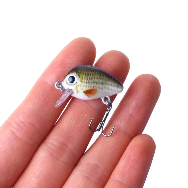 Bộ 5 mồi câu đá Luya HENGJIA 2.7cm/1.5g, hộp nhựa, Box008