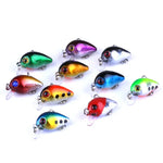 Bộ 10 mồi câu đá Luya HENGJIA 3cm/1.5g, hộp nhựa, Box014