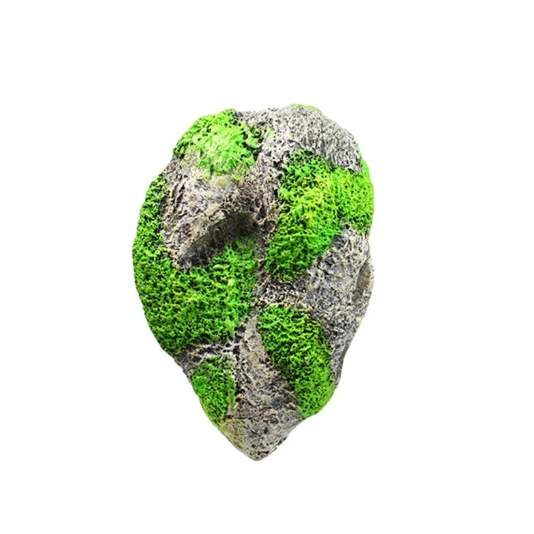 نص بديل للصورة