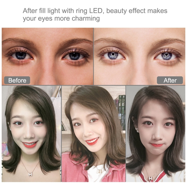 Đèn LED vòng RGBW 6.2 inch 16cm PULUZ + đế tròn để bàn có thể điều chỉnh độ sáng qua USB, đèn vlog chụp ảnh quay video kèm chân tripod cold shoe và điều khiển từ xa, gắn bàn + RGBW 6.2 inch / điều khiển từ xa
