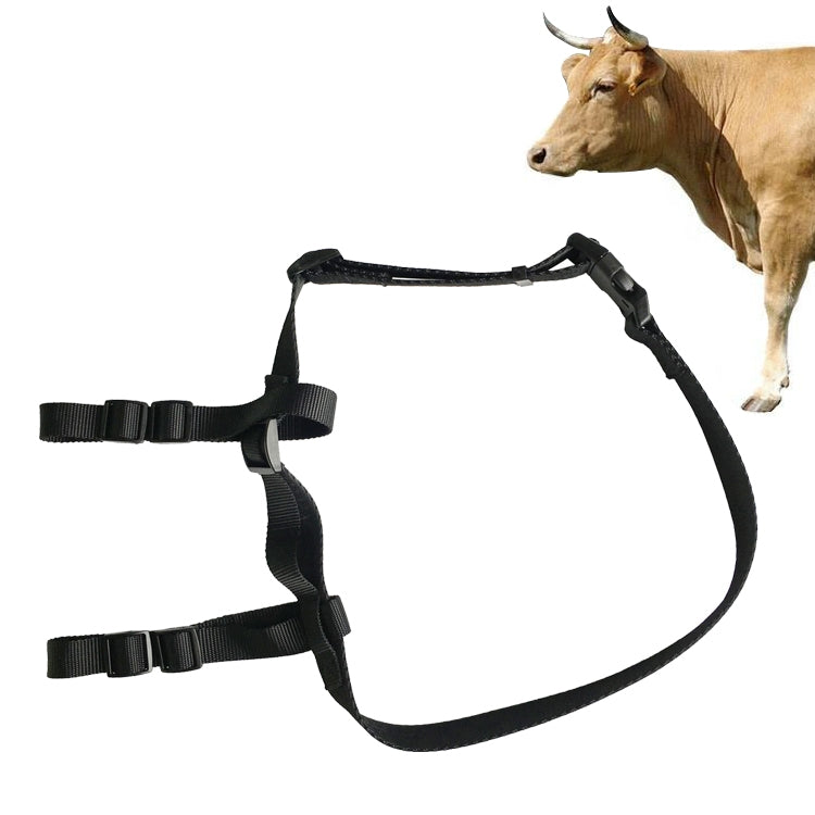Bộ định vị gia súc V34/V44, thiết bị chống mất, vòng cổ định vị GPS cho gia súc