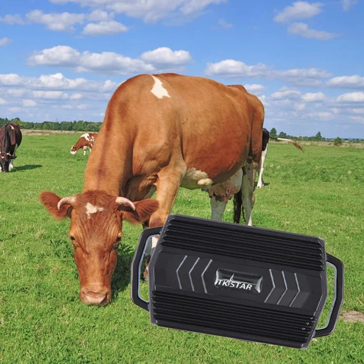 TKSTAR TK935 Định vị GPS cho thú cưng, gia súc, xe hơi dung lượng 3000mAh chống nước, TK935