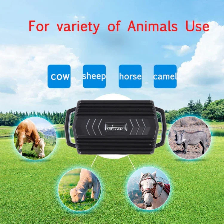 TKSTAR TK935 Định vị GPS cho thú cưng, gia súc, xe hơi dung lượng 3000mAh chống nước, TK935