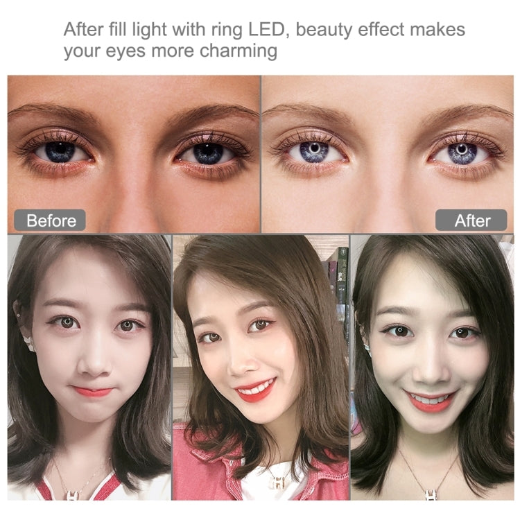 Đèn LED vòng USB 10.2 inch 26cm bề mặt cong RGBW có thể điều chỉnh độ sáng PULUZ cho vlog, chụp ảnh, quay video kèm chân đế đầu bi, điều khiển từ xa & kẹp điện thoại, 10.2 inch RGBW