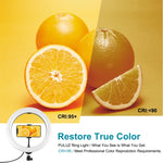 Đèn LED vòng USB 10.2 inch 26cm bề mặt cong RGBW có thể điều chỉnh độ sáng PULUZ cho vlog, chụp ảnh, quay video kèm chân đế đầu bi, điều khiển từ xa & kẹp điện thoại, 10.2 inch RGBW