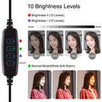 Đèn LED vòng cong PULUZ 10.2 inch 26cm USB 3 chế độ, điều chỉnh độ sáng, nhiệt độ màu kép cho vlog, selfie, chụp ảnh, quay video, có điều khiển từ xa Bluetooth, giá đỡ bàn gập và kẹp điện thoại