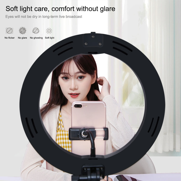 Đèn LED vòng cong PULUZ 10.2 inch 26cm USB 3 chế độ, điều chỉnh độ sáng, nhiệt độ màu kép cho vlog, selfie, chụp ảnh, quay video, có điều khiển từ xa Bluetooth, giá đỡ bàn gập và kẹp điện thoại