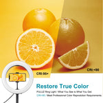Đèn LED vòng cong PULUZ 10.2 inch 26cm USB 3 chế độ, điều chỉnh độ sáng, nhiệt độ màu kép cho vlog, selfie, chụp ảnh, quay video, có điều khiển từ xa Bluetooth, giá đỡ bàn gập và kẹp điện thoại