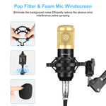 Microphone tụ điện phòng thu phát sóng chuyên nghiệp PULUZ