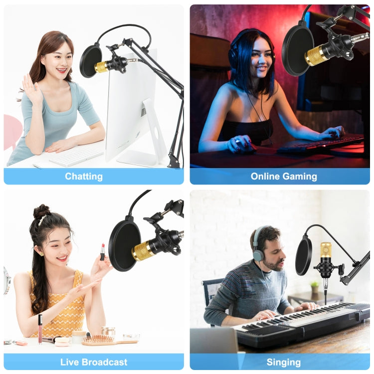 Microphone tụ điện phòng thu phát sóng chuyên nghiệp PULUZ