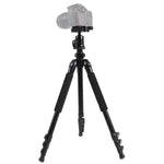 Chân Máy Hợp Kim Nhôm Di Động Có Thể Điều Chỉnh Triopo C-158+KJ-1, C-158+KJ-1 (Đen)