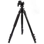 Chân Máy Hợp Kim Nhôm Di Động Có Thể Điều Chỉnh Triopo C-158+KJ-1, C-158+KJ-1 (Đen)