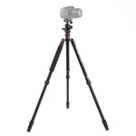 Chân máy ảnh nhôm di động điều chỉnh Triopo MT-2504C với đầu bi NB-1S cho máy ảnh DSLR Canon Nikon Sony, MT-2504C (Đen), MT-2504C (Vàng)