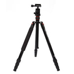 Chân máy ảnh nhôm di động điều chỉnh Triopo MT-2504C với đầu bi NB-1S cho máy ảnh DSLR Canon Nikon Sony, MT-2504C (Đen), MT-2504C (Vàng)