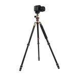 Chân máy ảnh nhôm di động điều chỉnh Triopo MT-2504C với đầu bi NB-1S cho máy ảnh DSLR Canon Nikon Sony, MT-2504C (Đen), MT-2504C (Vàng)