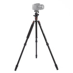 Chân máy ảnh nhôm di động điều chỉnh Triopo MT-2504C với đầu bi NB-1S cho máy ảnh DSLR Canon Nikon Sony, MT-2504C (Đen), MT-2504C (Vàng)