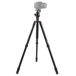 Chân máy ảnh nhôm di động điều chỉnh Triopo MT-2804C với đầu bi NB-2S cho máy ảnh DSLR Canon Nikon Sony, MT-2804C (Đen), MT-2804C (Vàng)