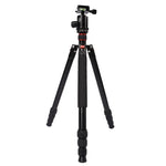 Chân máy ảnh nhôm di động điều chỉnh Triopo MT-2804C với đầu bi NB-2S cho máy ảnh DSLR Canon Nikon Sony, MT-2804C (Đen), MT-2804C (Vàng)