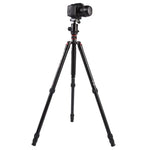Chân máy ảnh nhôm di động điều chỉnh Triopo MT-2804C với đầu bi NB-2S cho máy ảnh DSLR Canon Nikon Sony, MT-2804C (Đen), MT-2804C (Vàng)