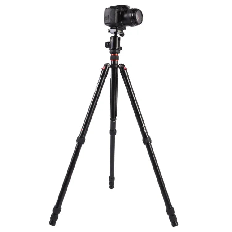 Chân máy ảnh nhôm di động điều chỉnh Triopo MT-2804C với đầu bi NB-2S cho máy ảnh DSLR Canon Nikon Sony, MT-2804C (Đen), MT-2804C (Vàng)