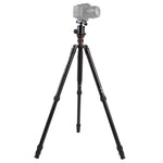 Chân máy ảnh nhôm di động điều chỉnh Triopo MT-2804C với đầu bi NB-2S cho máy ảnh DSLR Canon Nikon Sony, MT-2804C (Đen), MT-2804C (Vàng)