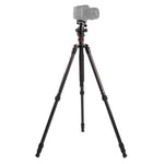 Chân máy ảnh sợi carbon di động điều chỉnh Triopo GT-2504X8.C với đầu bi nhôm B-1 cho máy ảnh DSLR Canon Nikon Sony, GT-2504X8.C (Đen), GT-2504X8.C (Vàng)