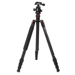 Chân máy ảnh sợi carbon di động điều chỉnh Triopo GT-2504X8.C với đầu bi nhôm B-1 cho máy ảnh DSLR Canon Nikon Sony, GT-2504X8.C (Đen), GT-2504X8.C (Vàng)