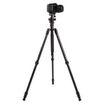 Chân máy ảnh sợi carbon di động điều chỉnh Triopo GT-2504X8.C với đầu bi nhôm B-1 cho máy ảnh DSLR Canon Nikon Sony, GT-2504X8.C (Đen), GT-2504X8.C (Vàng)
