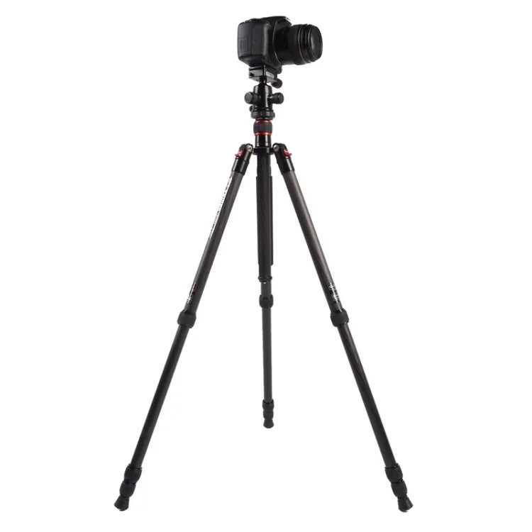 Chân máy ảnh sợi carbon di động điều chỉnh Triopo GT-2504X8.C với đầu bi nhôm B-1 cho máy ảnh DSLR Canon Nikon Sony, GT-2504X8.C (Đen), GT-2504X8.C (Vàng)