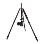 Chân máy ảnh sợi carbon di động điều chỉnh Triopo GT-2504X8.C với đầu bi nhôm B-1 cho máy ảnh DSLR Canon Nikon Sony, GT-2504X8.C (Đen), GT-2504X8.C (Vàng)