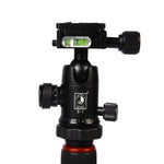 Chân máy ảnh sợi carbon di động điều chỉnh Triopo GT-2504X8.C với đầu bi nhôm B-1 cho máy ảnh DSLR Canon Nikon Sony, GT-2504X8.C (Đen), GT-2504X8.C (Vàng)