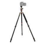 Chân máy ảnh sợi carbon di động điều chỉnh Triopo GT-2504X8.C với đầu bi nhôm B-1 cho máy ảnh DSLR Canon Nikon Sony, GT-2504X8.C (Đen), GT-2504X8.C (Vàng)