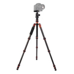 Chân máy ảnh sợi carbon di động điều chỉnh Triopo GT-2505x8.C với đầu bi nhôm B-1 cho máy ảnh DSLR Canon Nikon Sony, GT-2505x8.C (Đen), GT-2505x8.C (Vàng)