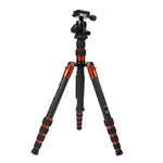 Chân máy ảnh sợi carbon di động điều chỉnh Triopo GT-2505x8.C với đầu bi nhôm B-1 cho máy ảnh DSLR Canon Nikon Sony, GT-2505x8.C (Đen), GT-2505x8.C (Vàng)