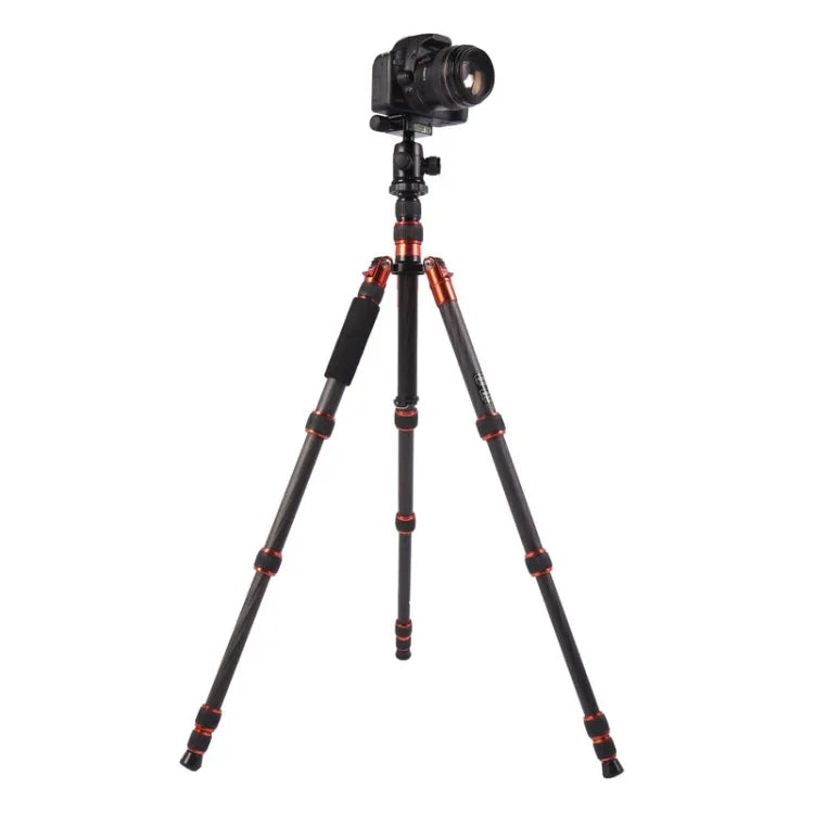 Chân máy ảnh sợi carbon di động điều chỉnh Triopo GT-2505x8.C với đầu bi nhôm B-1 cho máy ảnh DSLR Canon Nikon Sony, GT-2505x8.C (Đen), GT-2505x8.C (Vàng)