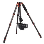 Chân máy ảnh sợi carbon di động điều chỉnh Triopo GT-2505x8.C với đầu bi nhôm B-1 cho máy ảnh DSLR Canon Nikon Sony, GT-2505x8.C (Đen), GT-2505x8.C (Vàng)