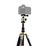 Chân máy ảnh sợi carbon di động điều chỉnh Triopo GT-2505x8.C với đầu bi nhôm B-1 cho máy ảnh DSLR Canon Nikon Sony, GT-2505x8.C (Đen), GT-2505x8.C (Vàng)