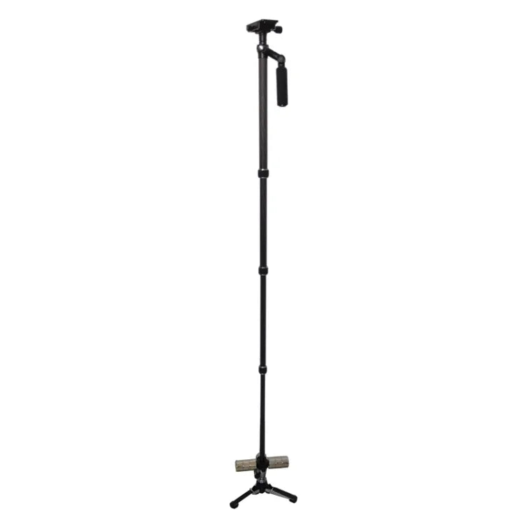 Bộ ổn định cầm tay Steadicam sợi carbon Triopo FM-28043 cho máy ảnh DSLR DV