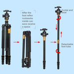 Chân máy ảnh du lịch chuyên nghiệp ZOMEI Z688 bằng hợp kim magie có thể mang theo, chân đơn với đầu bi cho máy ảnh kỹ thuật số, Z688