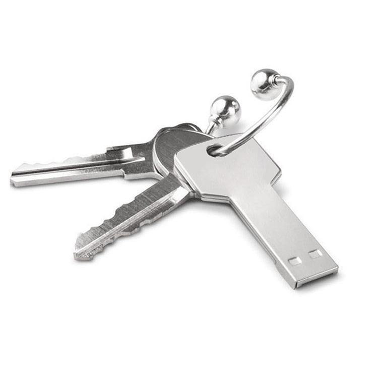 USB flash disk dạng chìa khóa 2GB, 1GB, 2GB, 4GB, 8GB