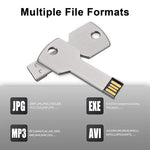 USB flash disk dạng chìa khóa 2GB, 1GB, 2GB, 4GB, 8GB