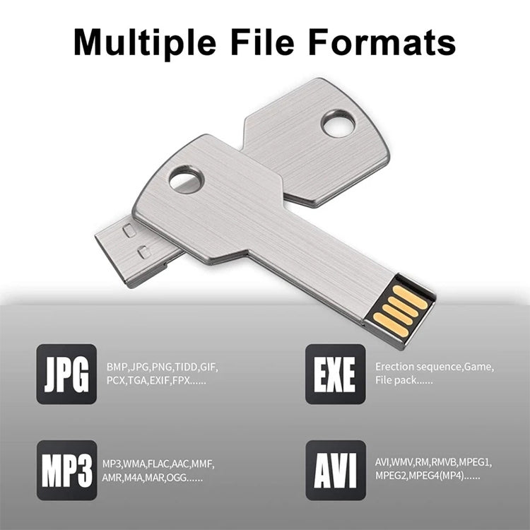 USB flash disk dạng chìa khóa 2GB, 1GB, 2GB, 4GB, 8GB