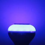 Bluetooth, Support WiFi Phone Control, Adjustable Light, with Remote Control