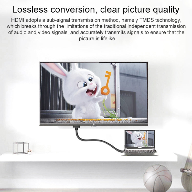 Bộ chuyển đổi Mini HDMI đực mạ vàng sang HDMI 19 chân cái, Mini HDMI đực sang HDMI cái