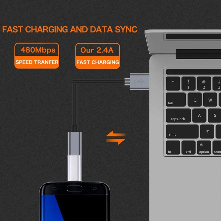 Cáp chuyển đổi vỏ kim loại 8 Pin cái sang USB-C / Type-C đực