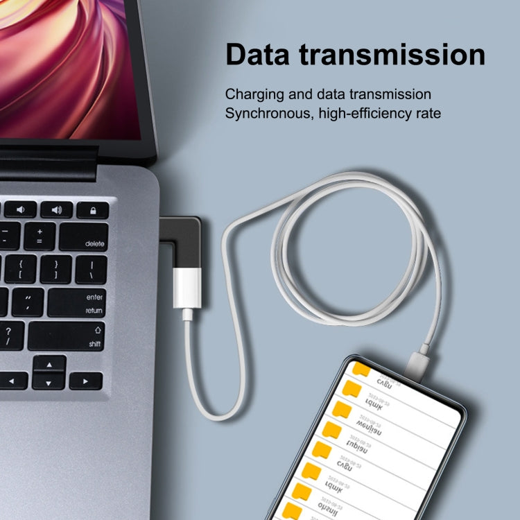Cáp chuyển đổi sạc gập 8 Pin đực sang USB-C / Type-C cái, 8 Pin đực sang USB-C / Type-C cái