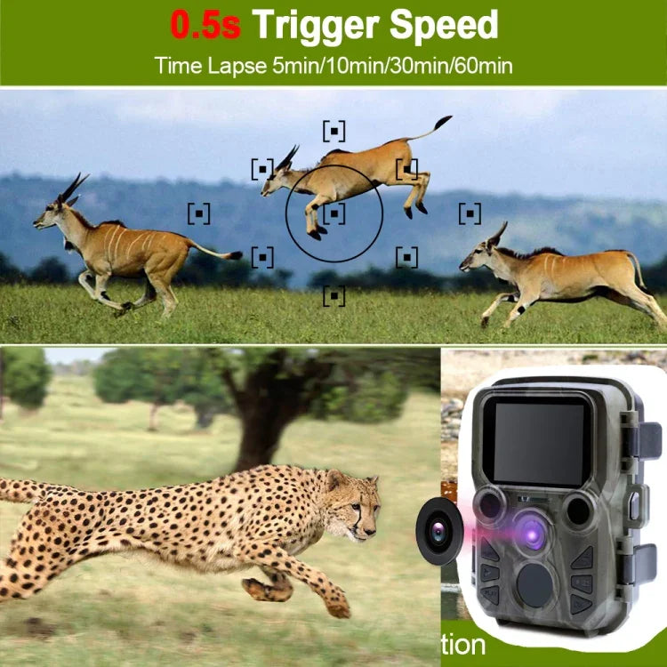 Camera săn bắn Mini300 12MP HD 1080P camera theo dõi, Mini300